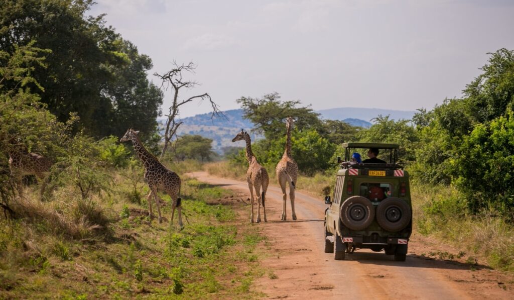Elevating Rwanda’s Tourism Industry through Exceptional Customer Service